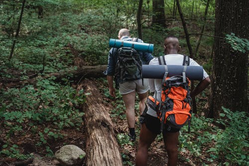 hiking in forest